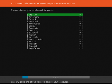 VirtualBox_Ubuntu Server 18.04 install_01_02_2019_13_58_19.png