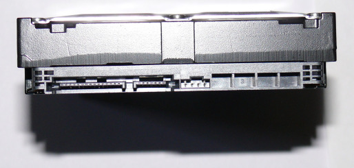 53149133.jpg